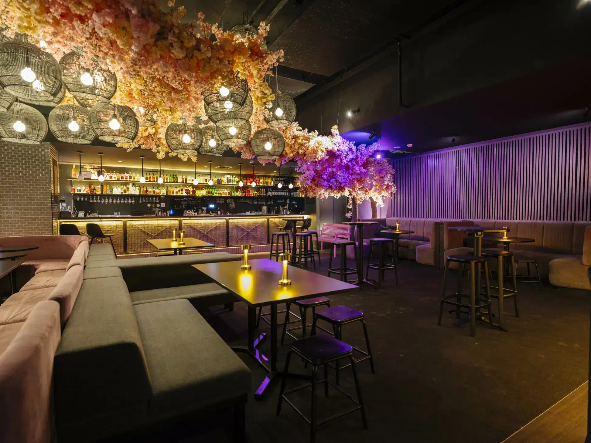 Goody Twos, Kabuki image 2