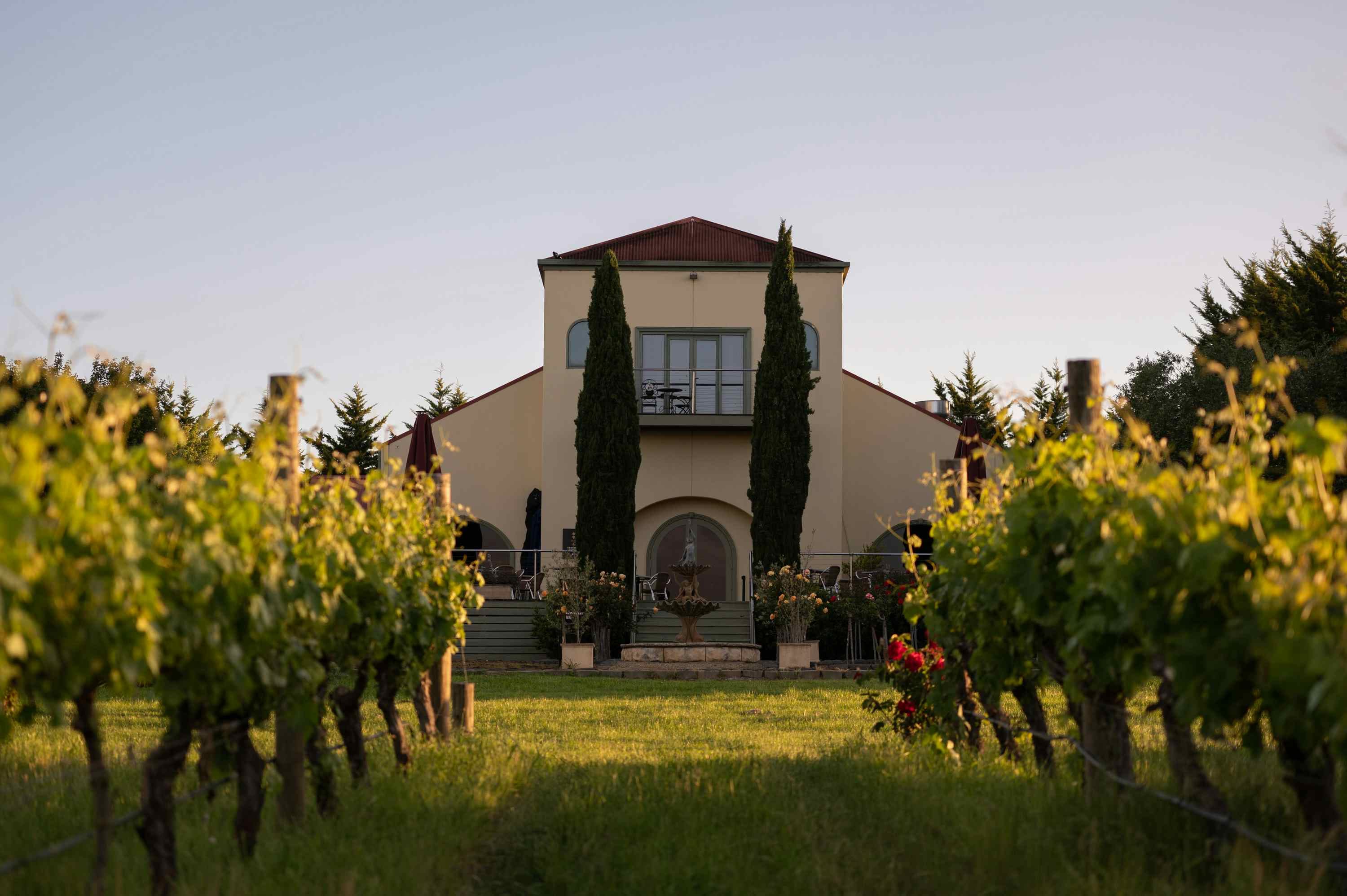 Tokar Estate Winery, Tokar Estate Winery image 3