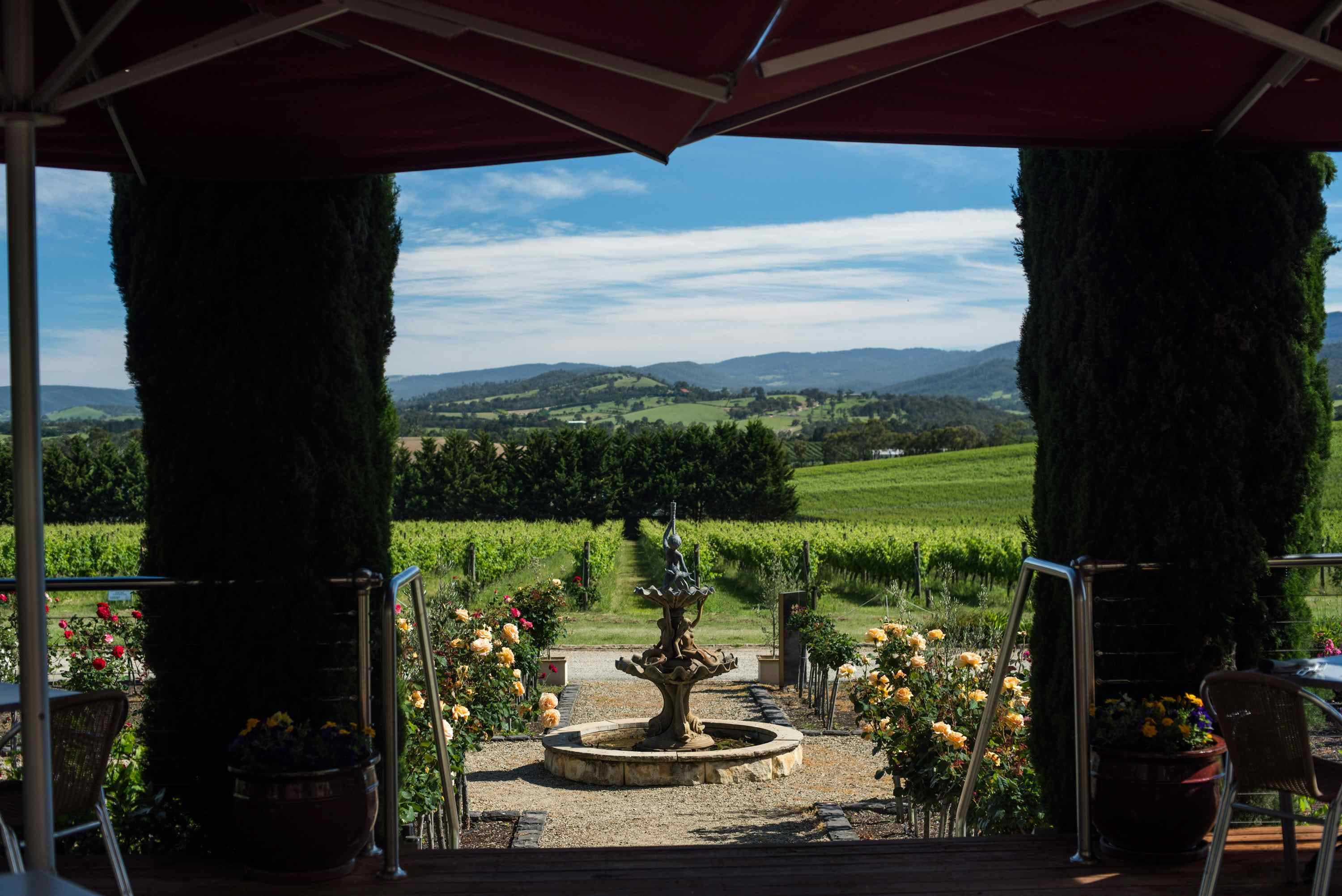 Tokar Estate Winery, Tokar Estate Winery image 2