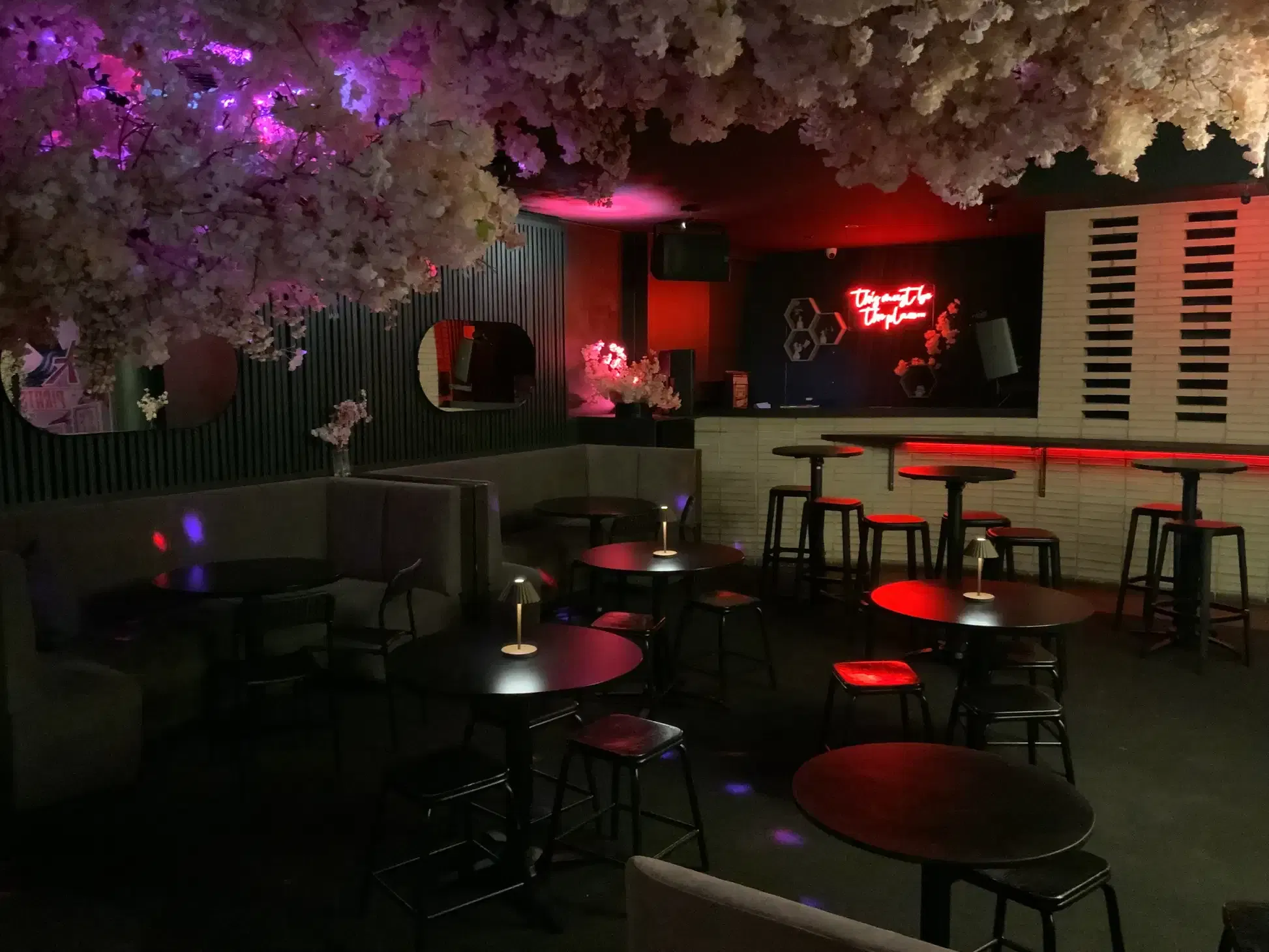 Goody Twos, Kabuki image 3