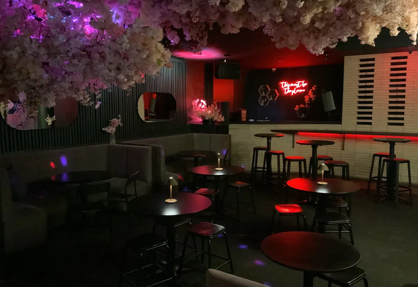 Goody Twos, Kabuki image 3