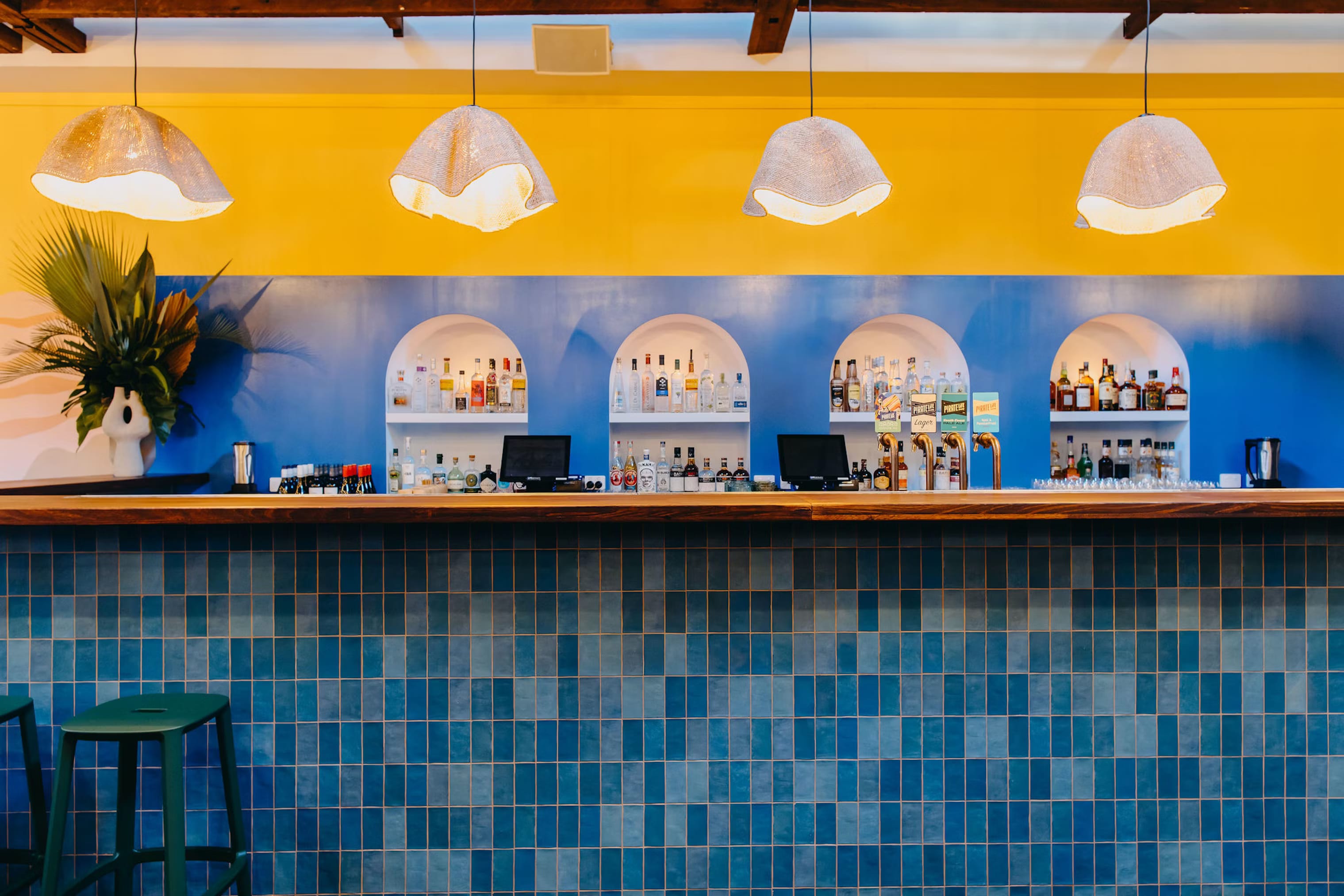 FIREBIRD, ARARA image 3