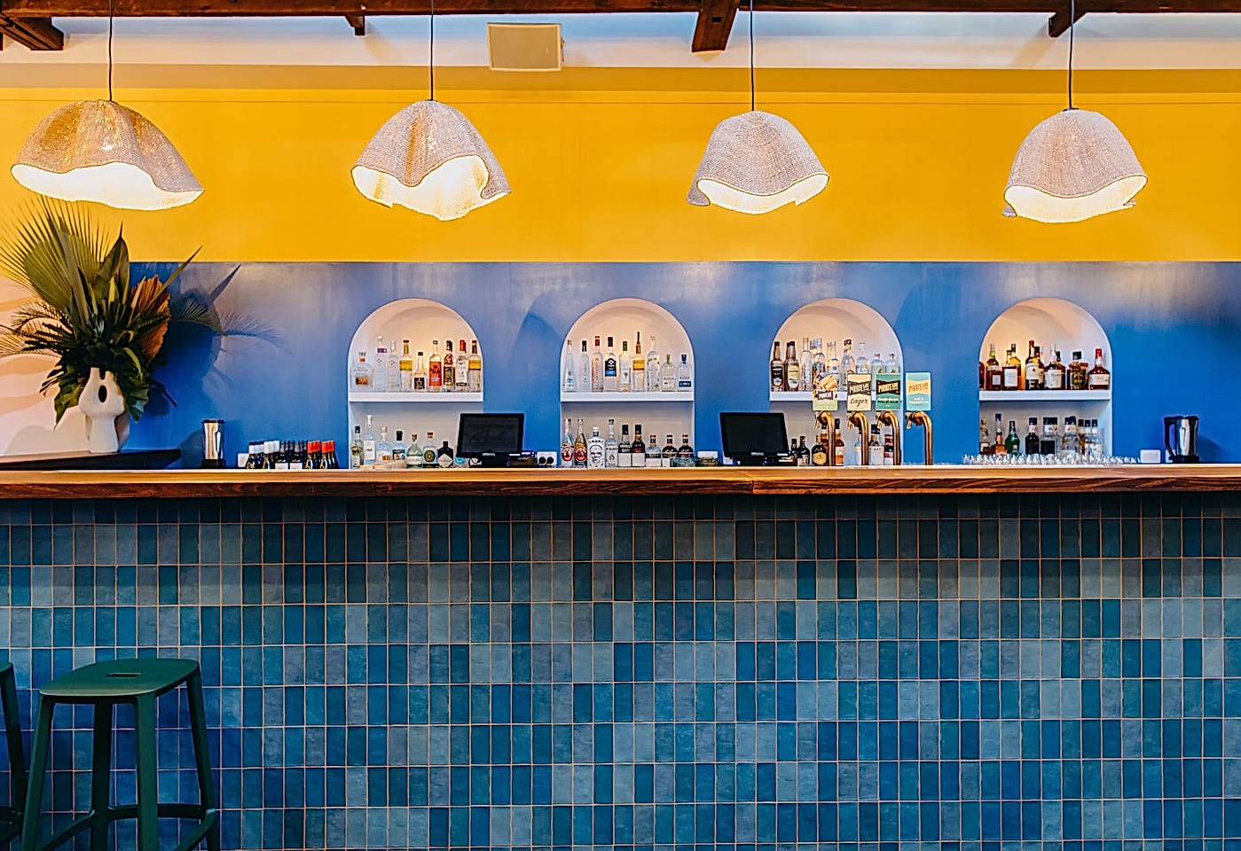 FIREBIRD, ARARA image 3