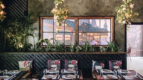 Ally Chow Restaurant | Exclusive Hire | Venue Hire Gold Coast | 3