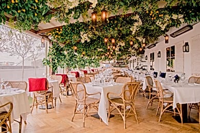 Alto Mayfair rooftop bars 1