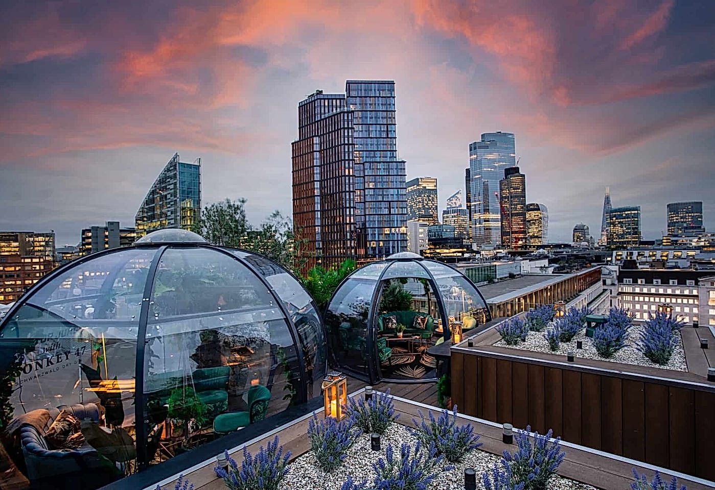 Aviary London dinner with a view 1