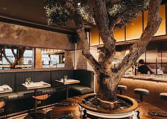 Because pasta is affordable, right?: Bancone1