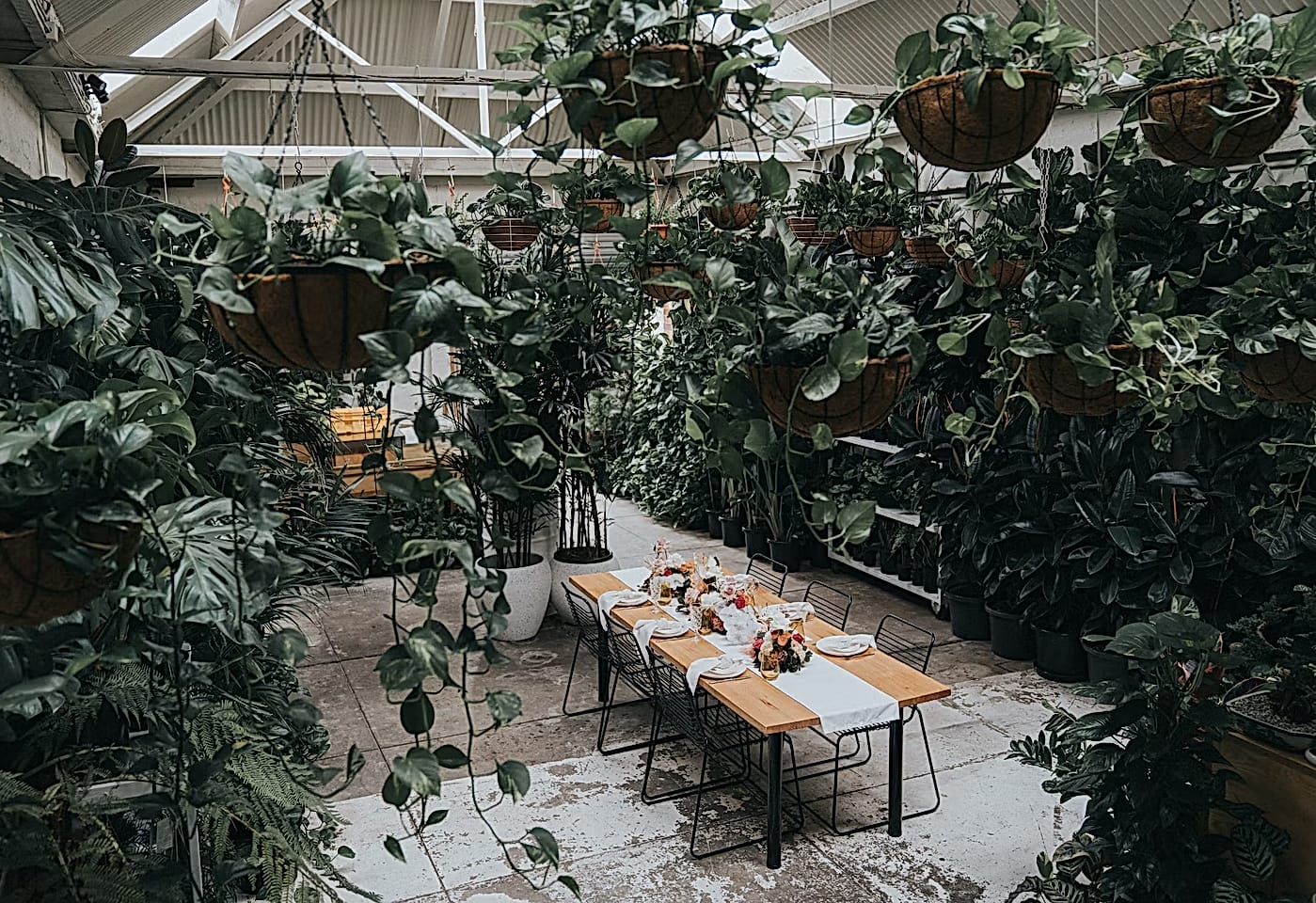 Botanicah - The Venue | Dramatic greenhouse | Venue Hire Melbourne | 1