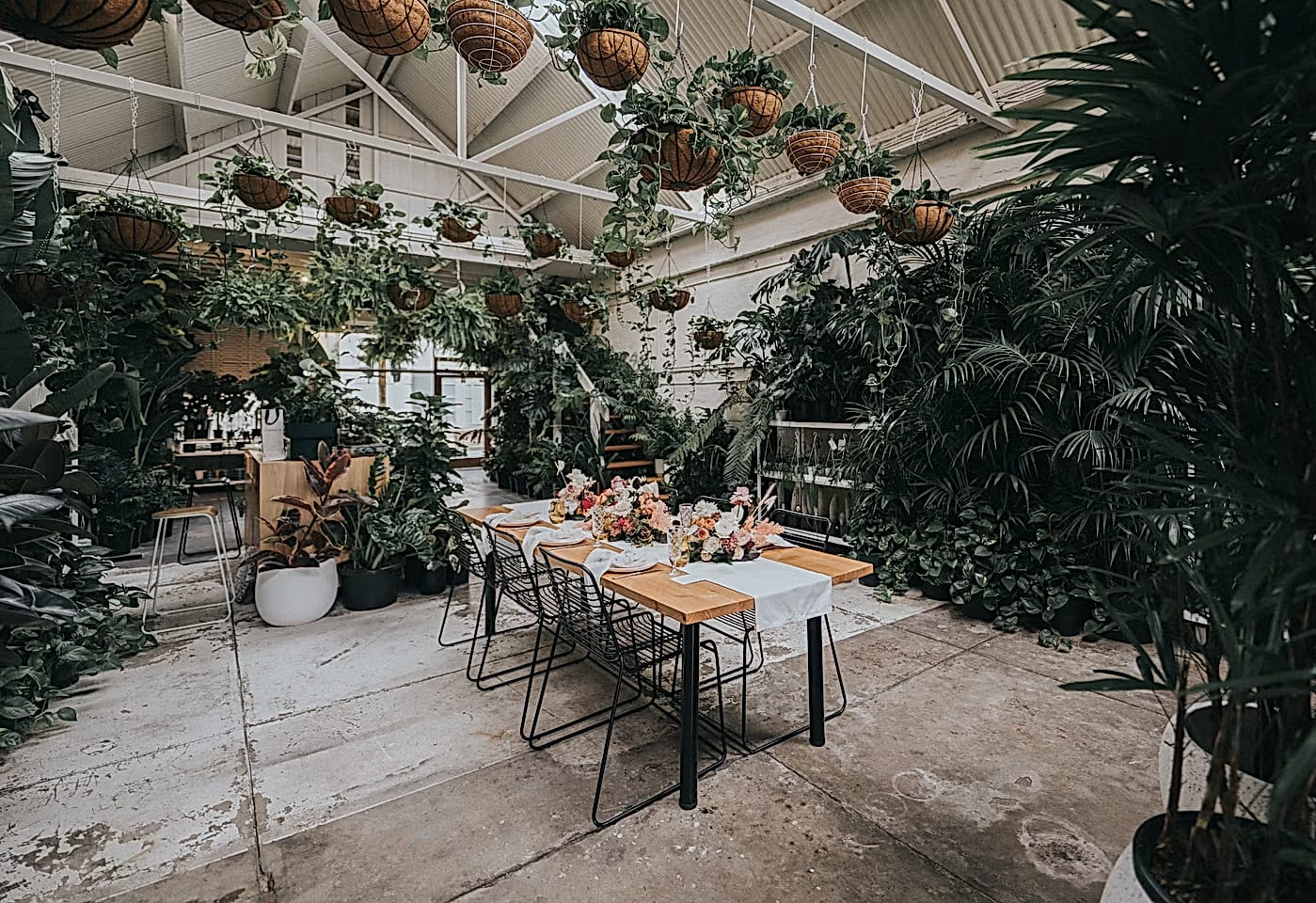 Botanicah - The Venue | Dramatic greenhouse | Venue Hire Melbourne | 2