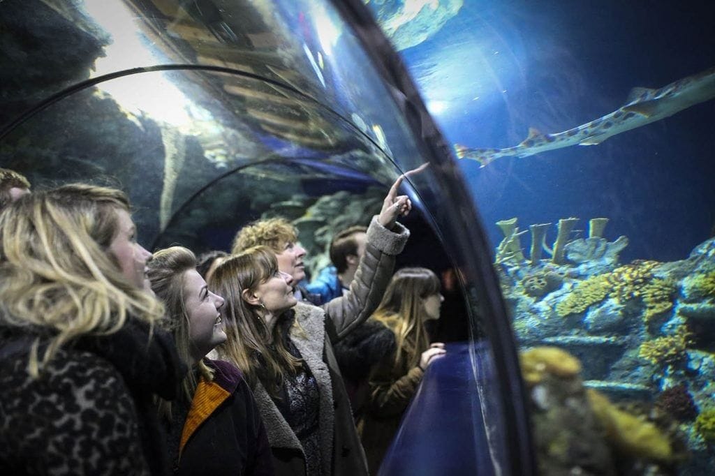 Bristol Aquarium Unique venues 1