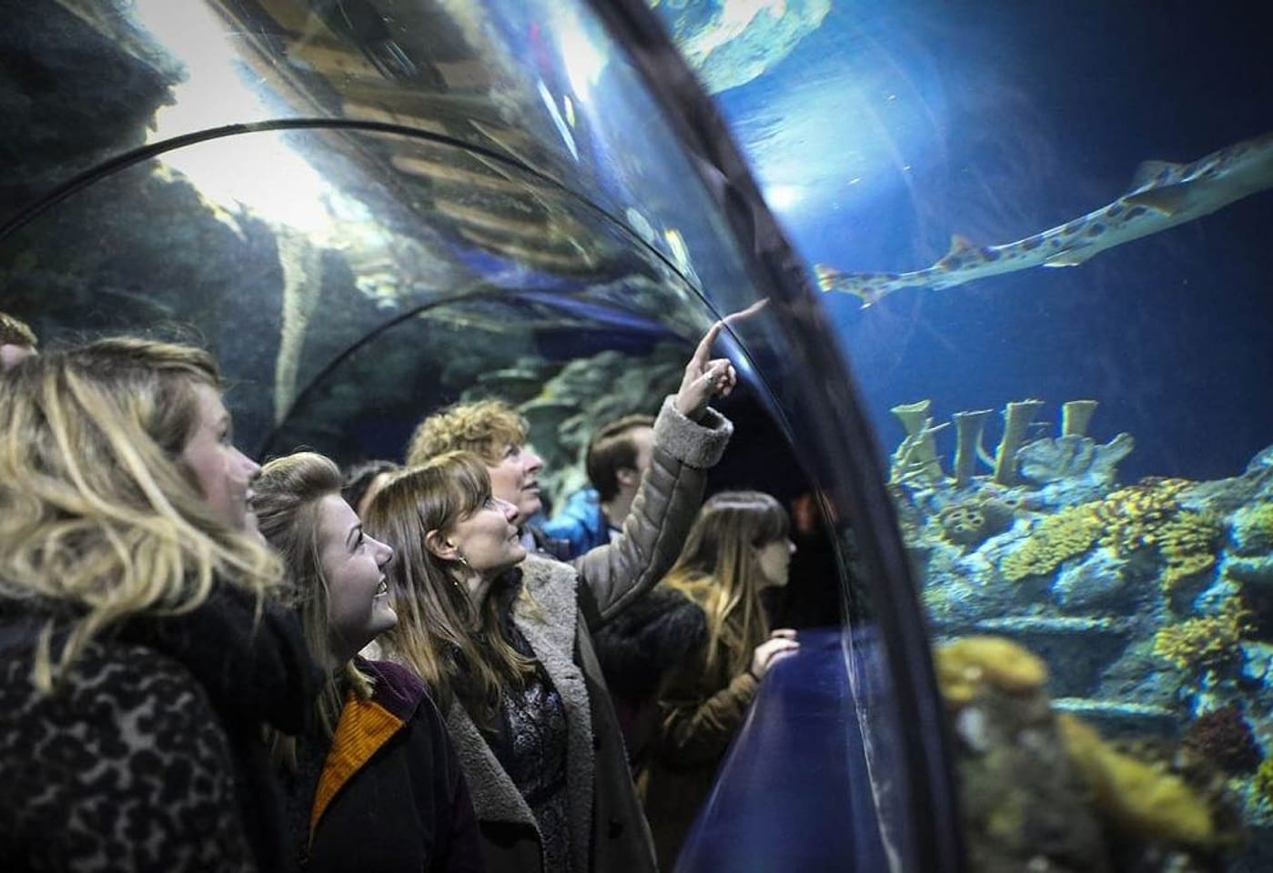 Bristol Aquarium Unique venues 1