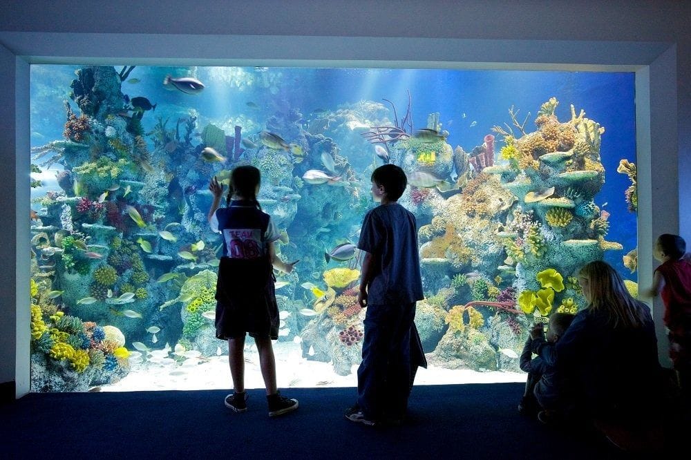 Bristol Aquarium Venue hire 2