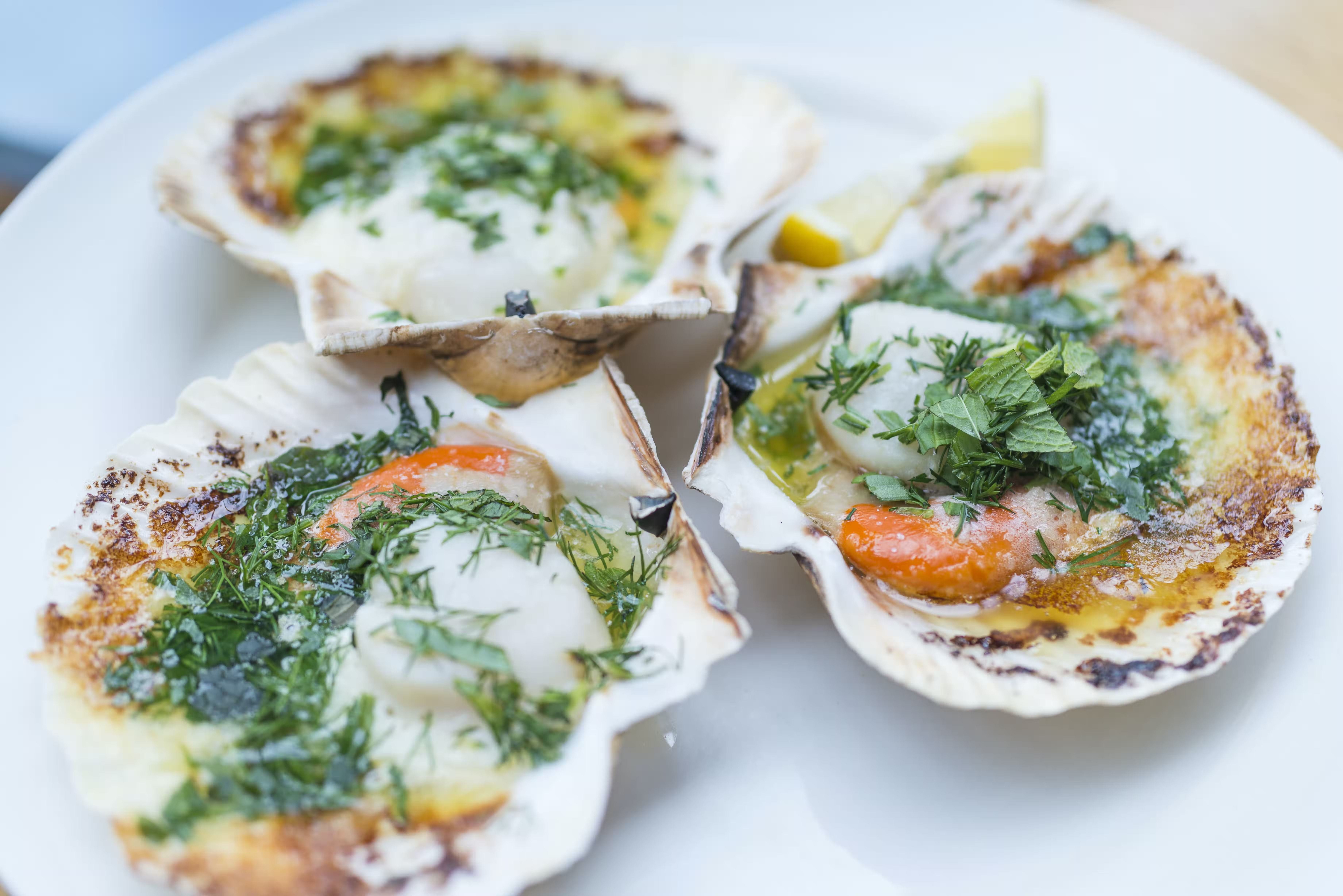 Bristol Lido private dining room 3