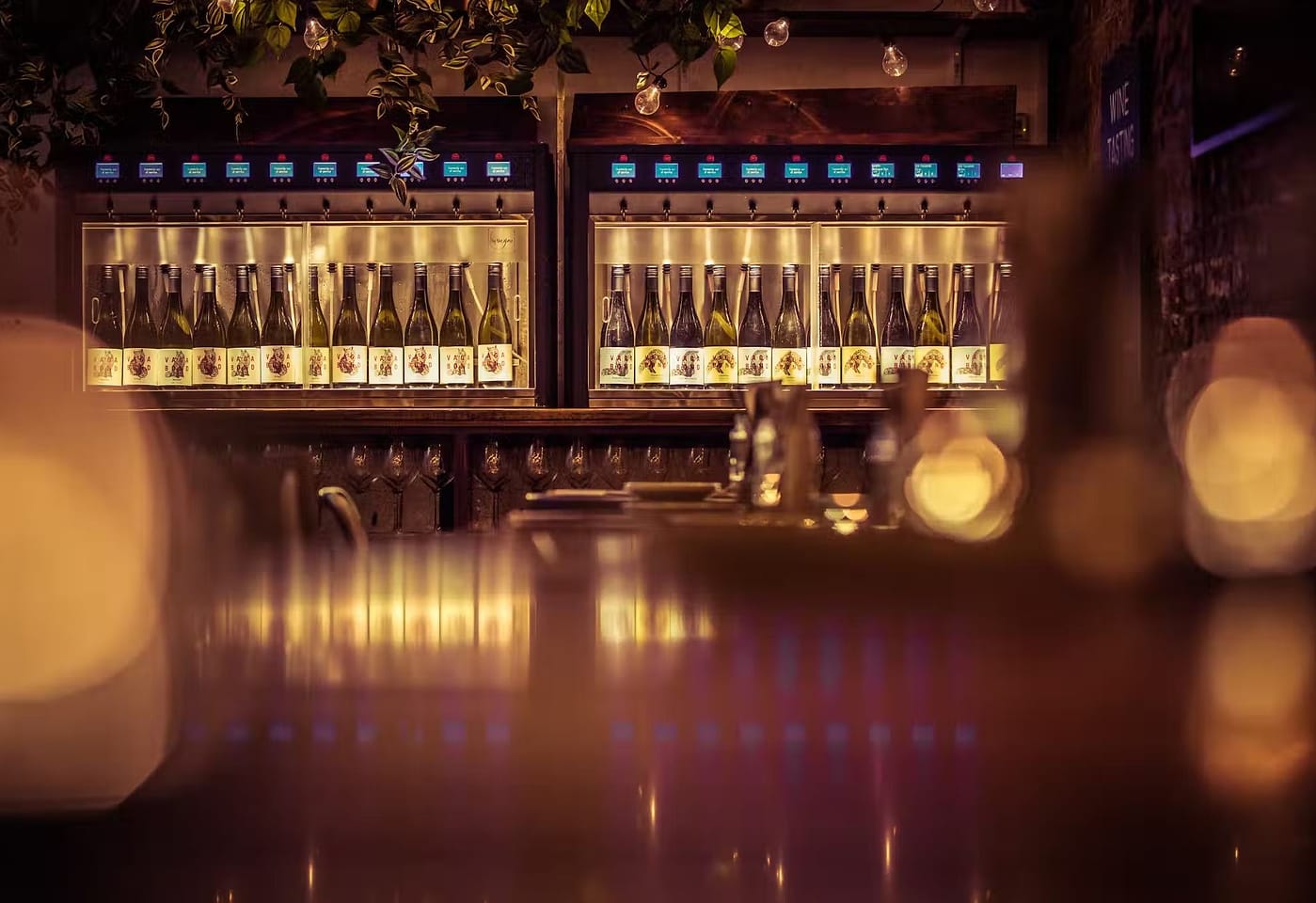 A Charlotte Street bar to get your wine game on: Vagabond image 3