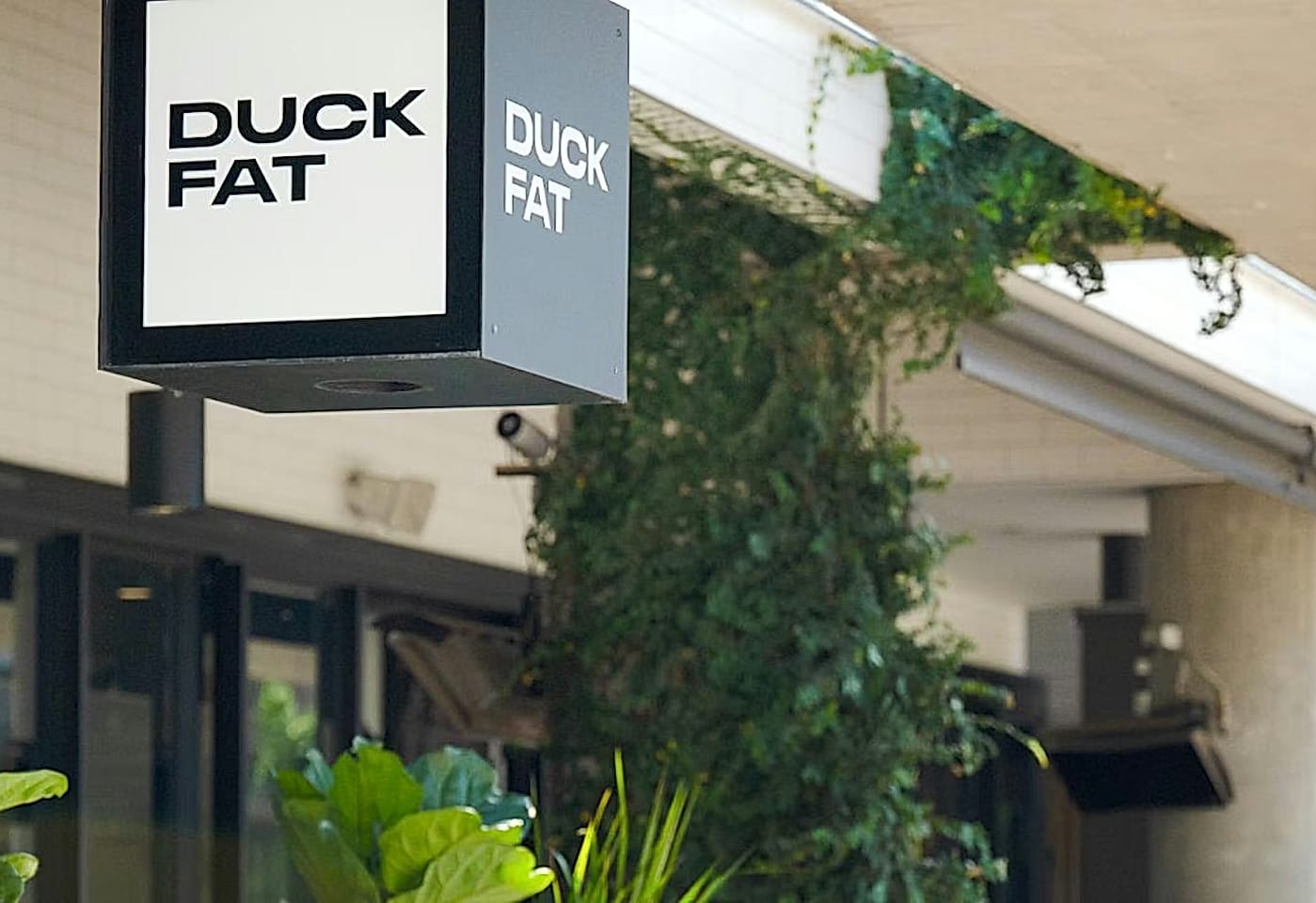 4. EXCLUSIVE HIRE – Full Venue, DUCKFAT image 3