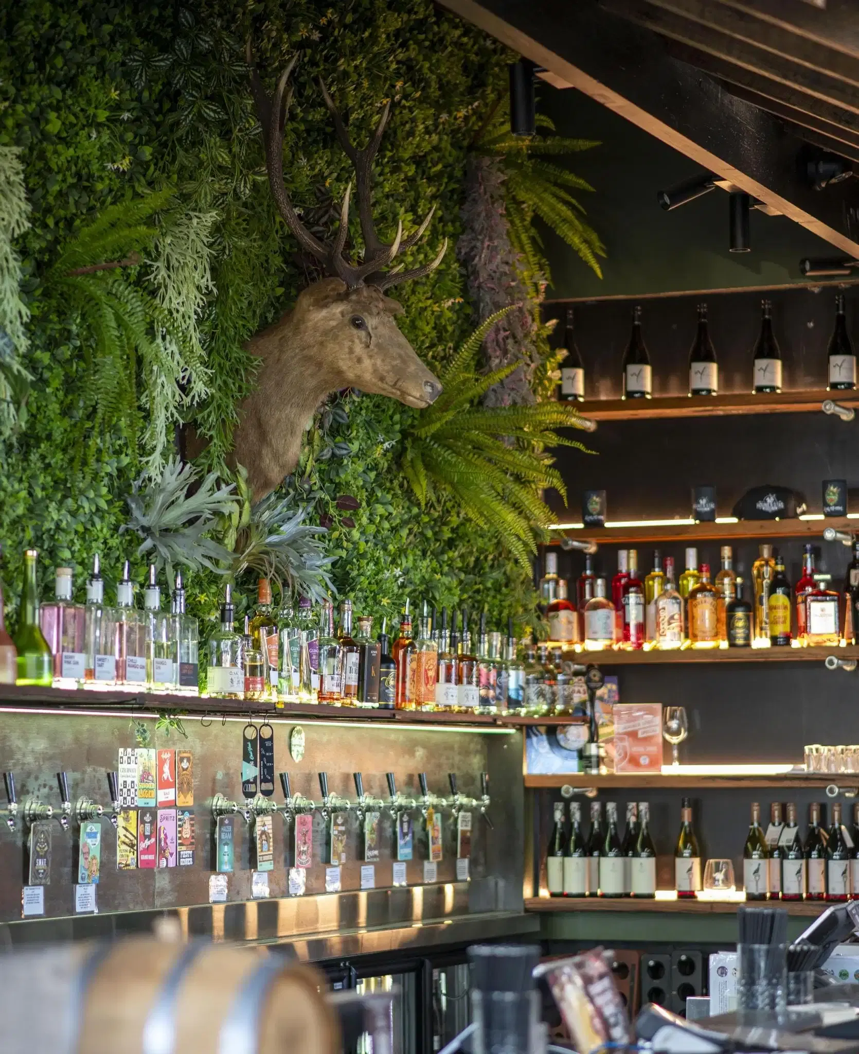 Exclusive Hire, Hound & Stag image 3