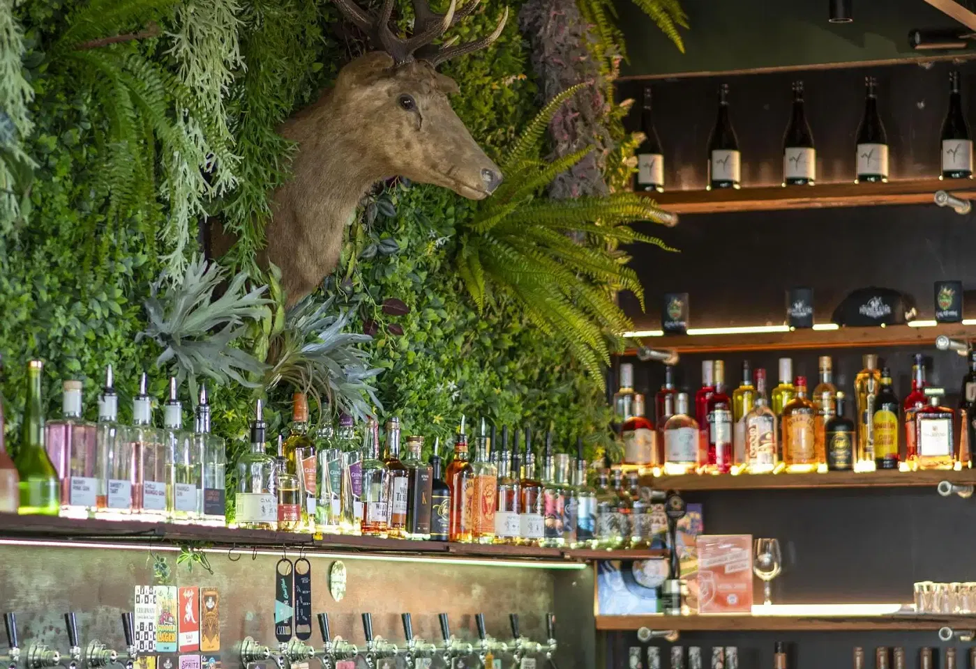 Exclusive Hire, Hound & Stag image 3
