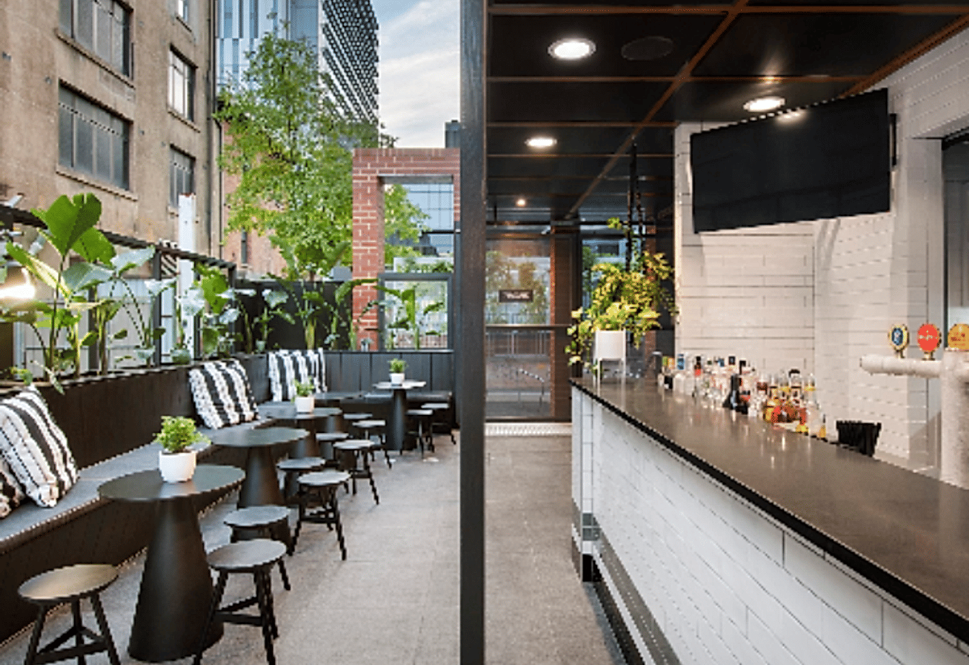 Garden Bar, Electra House1