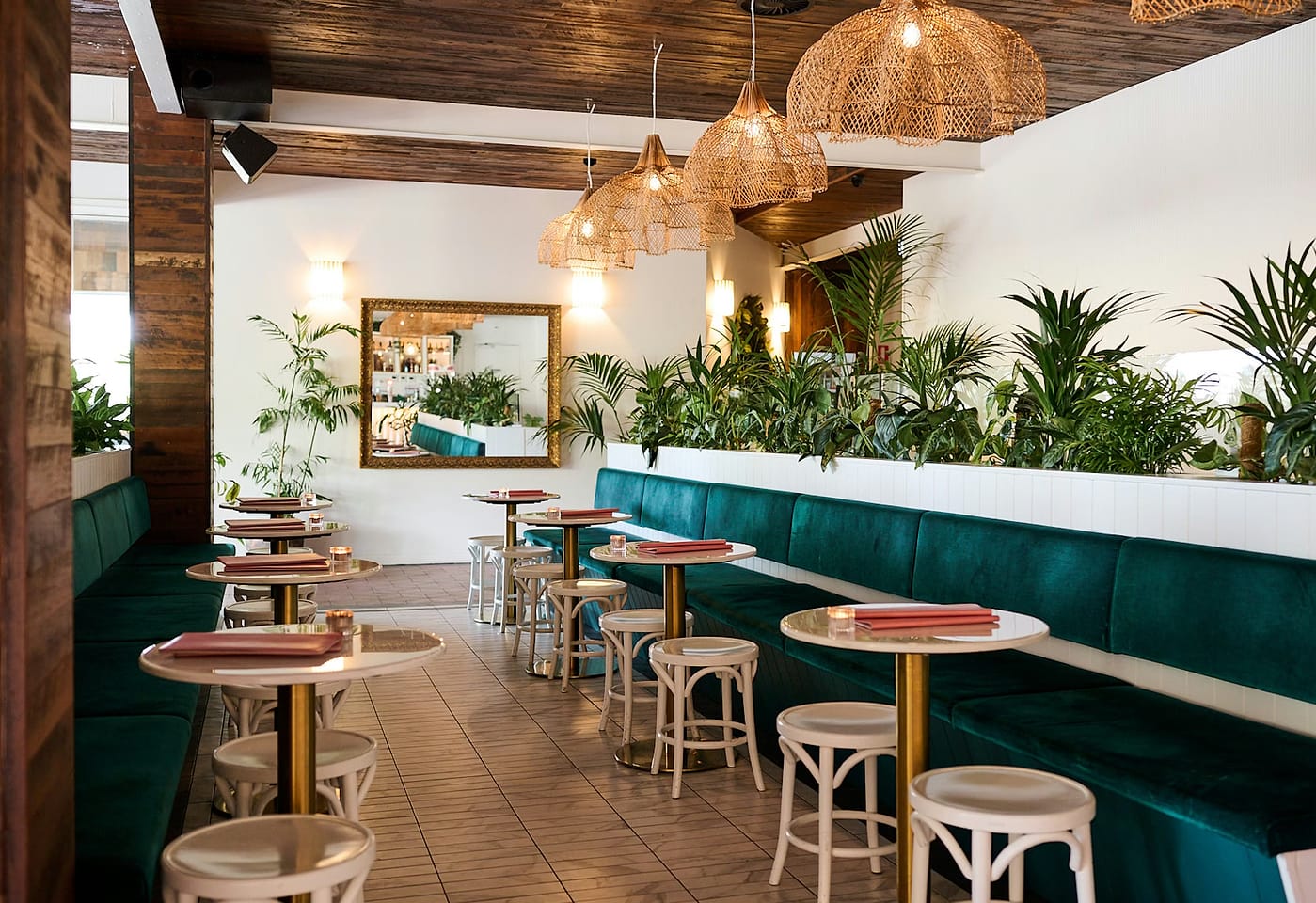 Whole Venue, Highball image 2