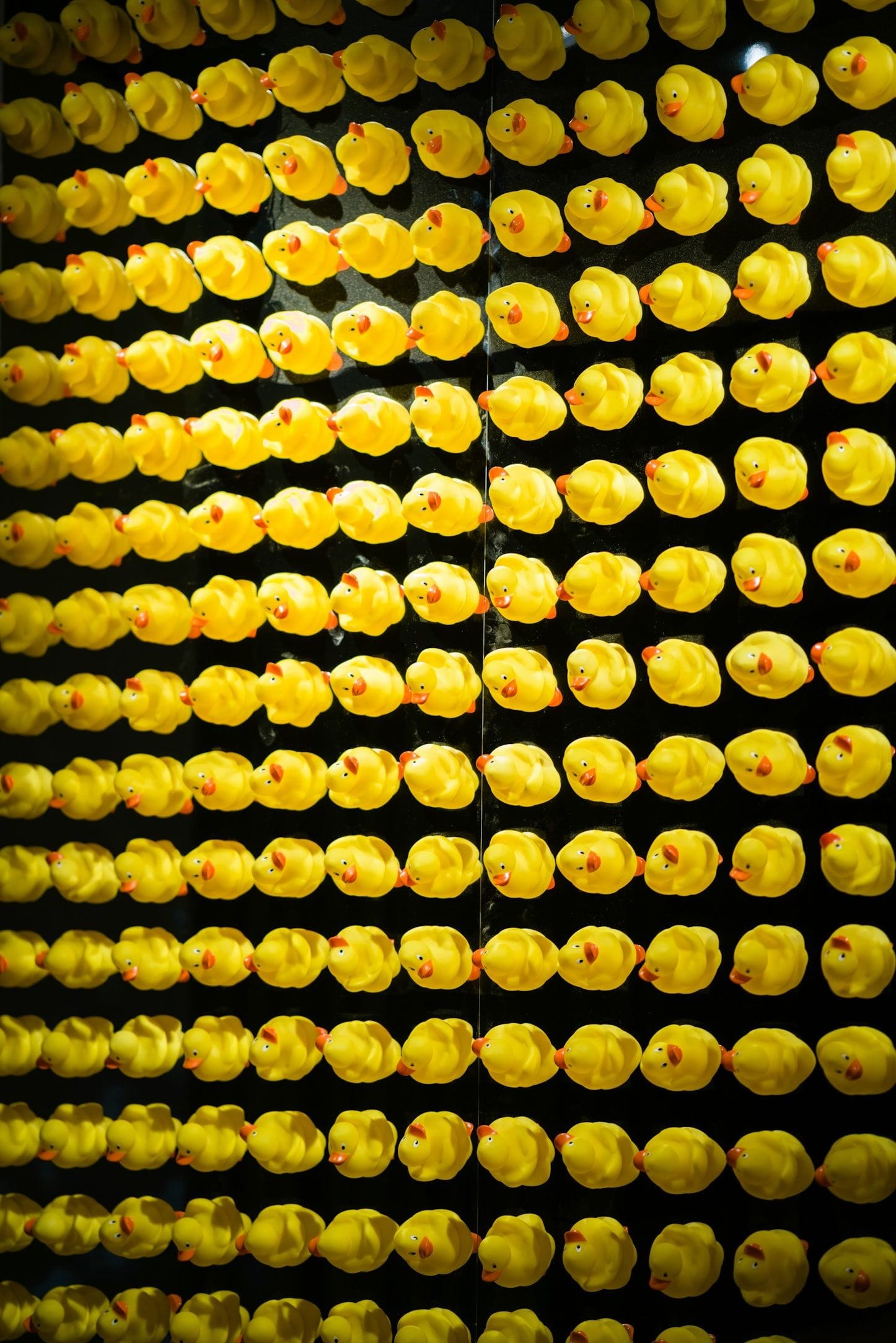 Holy Duck Lounge Canary Wharf Christmas Party Venue 