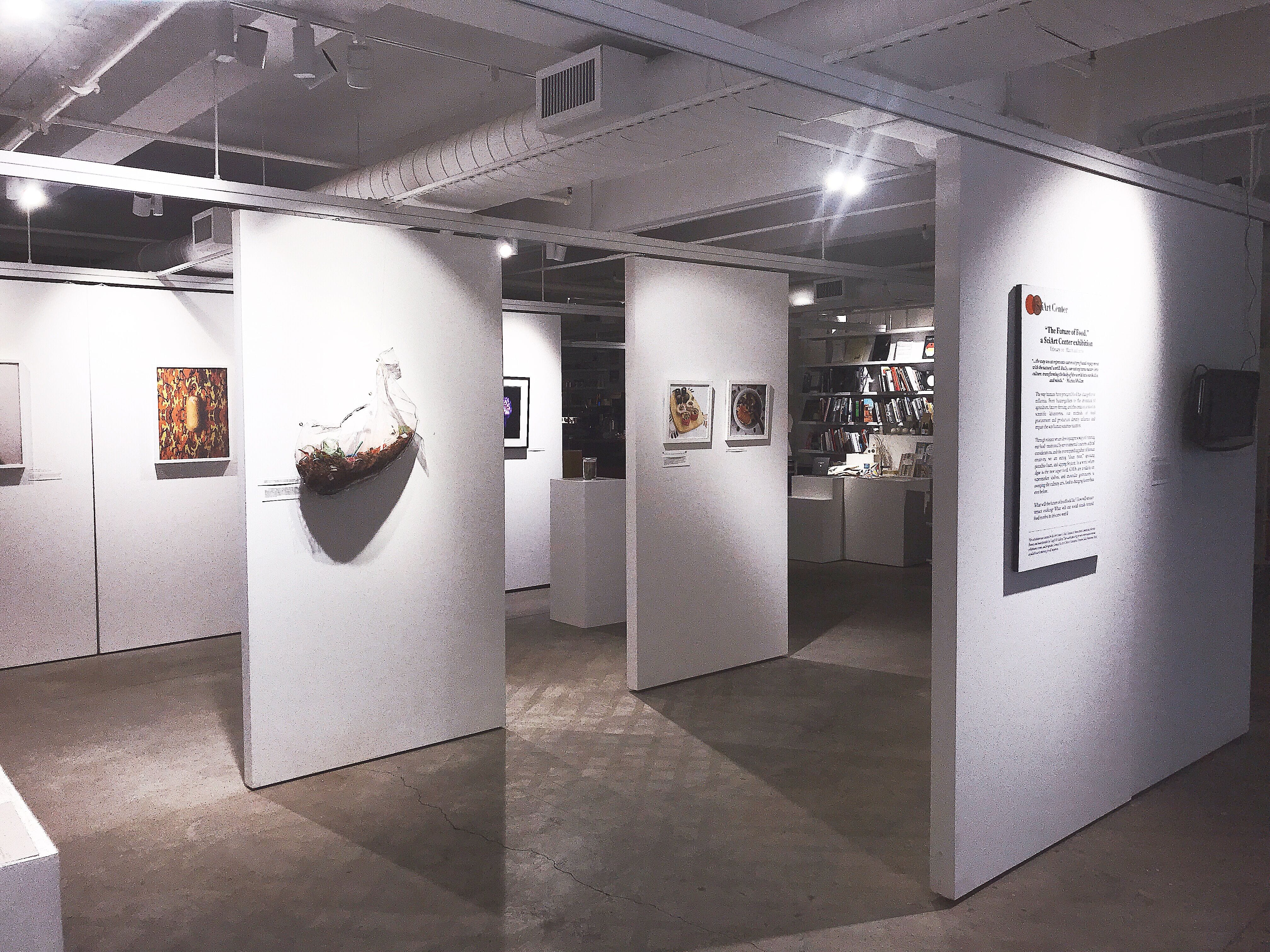 A space with a bit of everything: Usagi 1