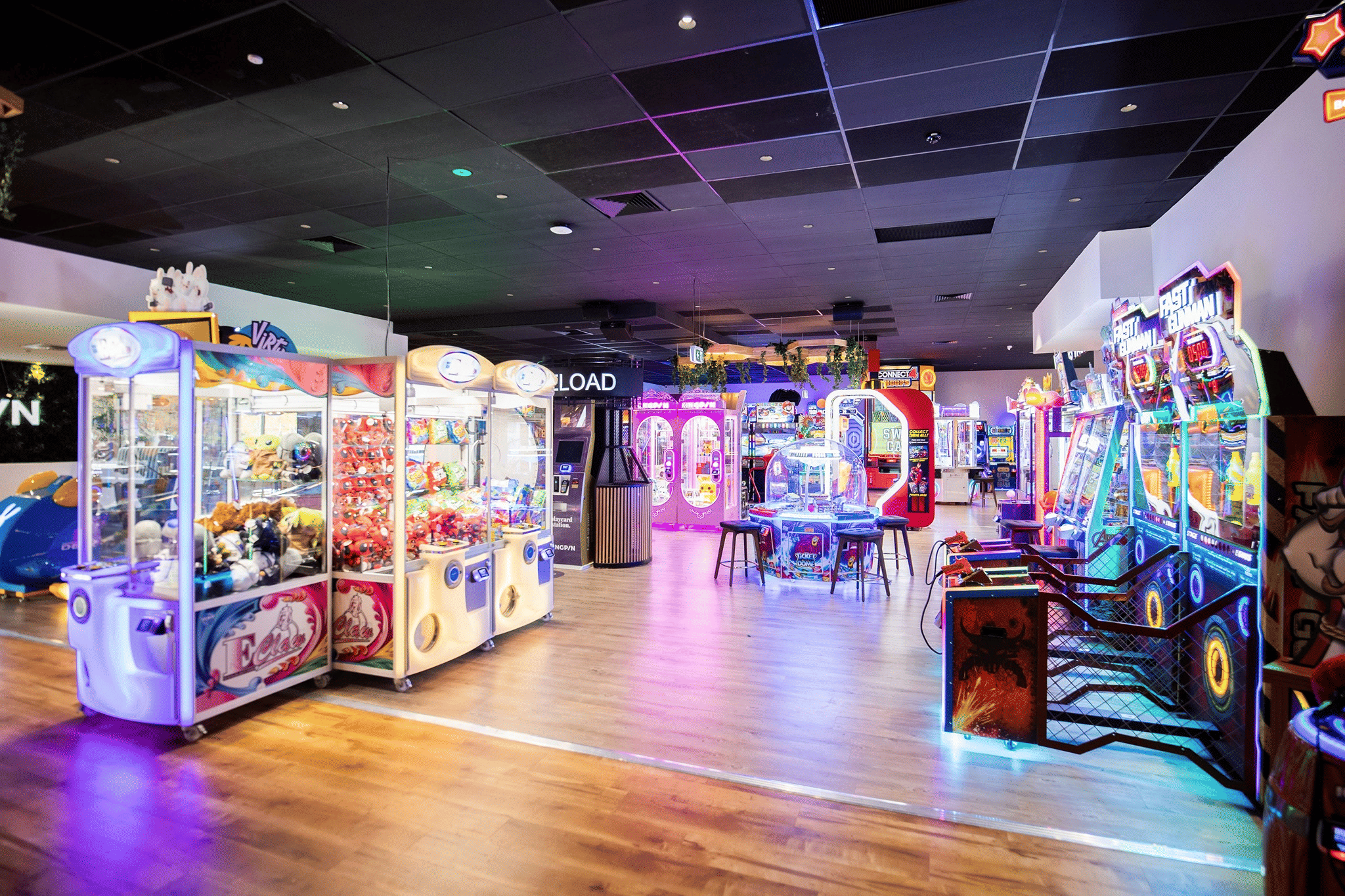 Exclusive Hire, Kingpin Norwood  image 2