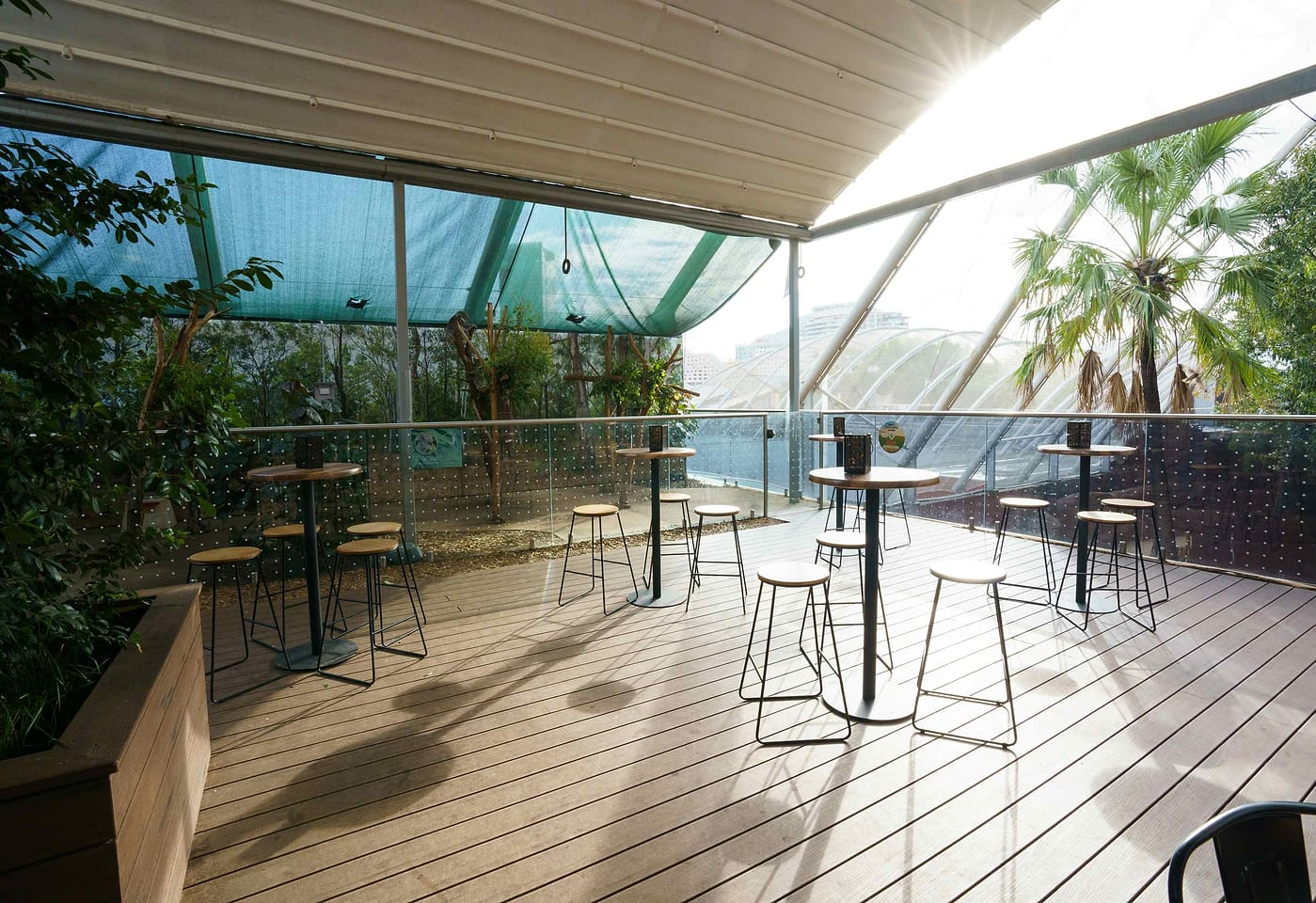 WILD Life Sydney Zoo | Koala Rooftop | Venue Hire Sydney | 1