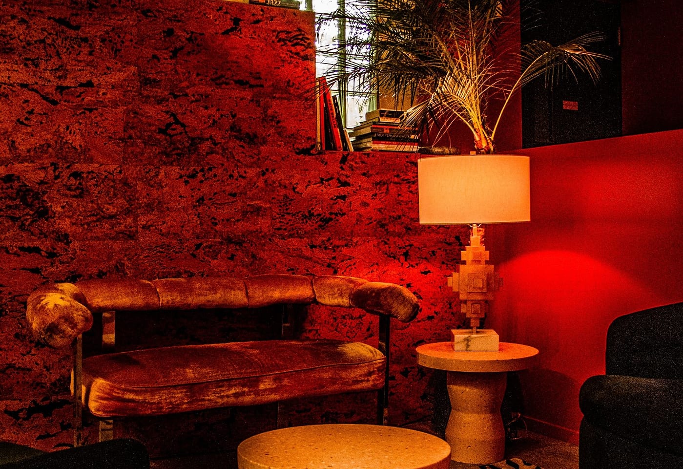 La Noxe Chelsea Speakeasy Birthday Party Venue Rent NYC