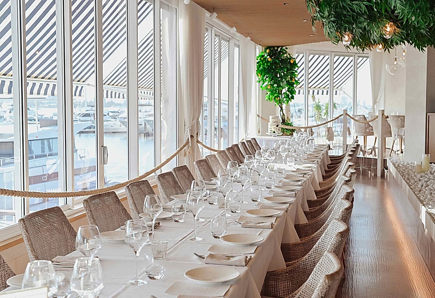 La Luna Dining, La Luna Dining image 2