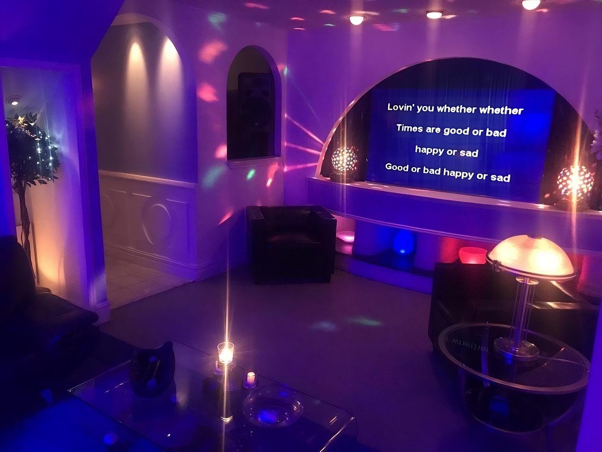 Lions Roar Karaoke House Venue NYC Rent 