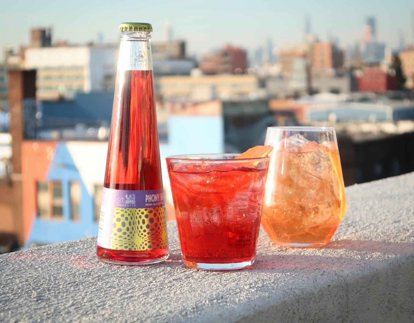 LoHi Brooklyn Rooftop Bar Private Event NYC