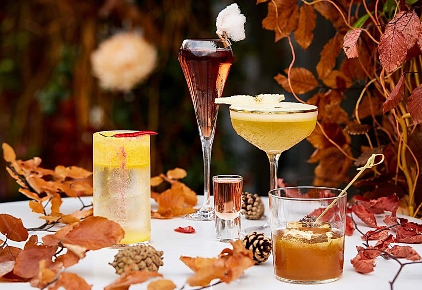 A St Pauls bar that offers sweet and savoury views: Madison image 3