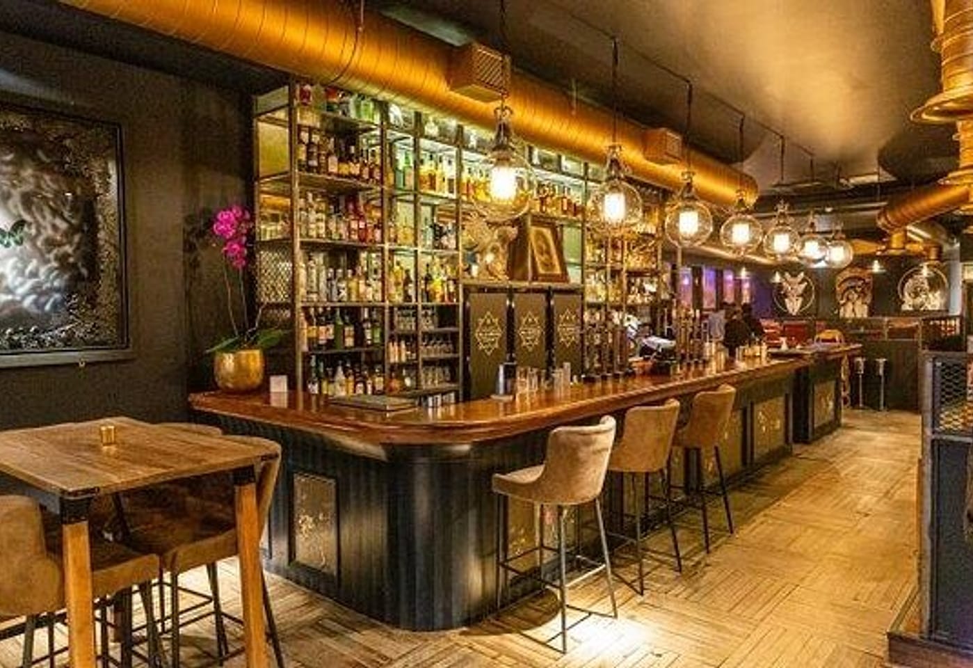 An actual hidden gem next to Borough: Mala Madre image 2