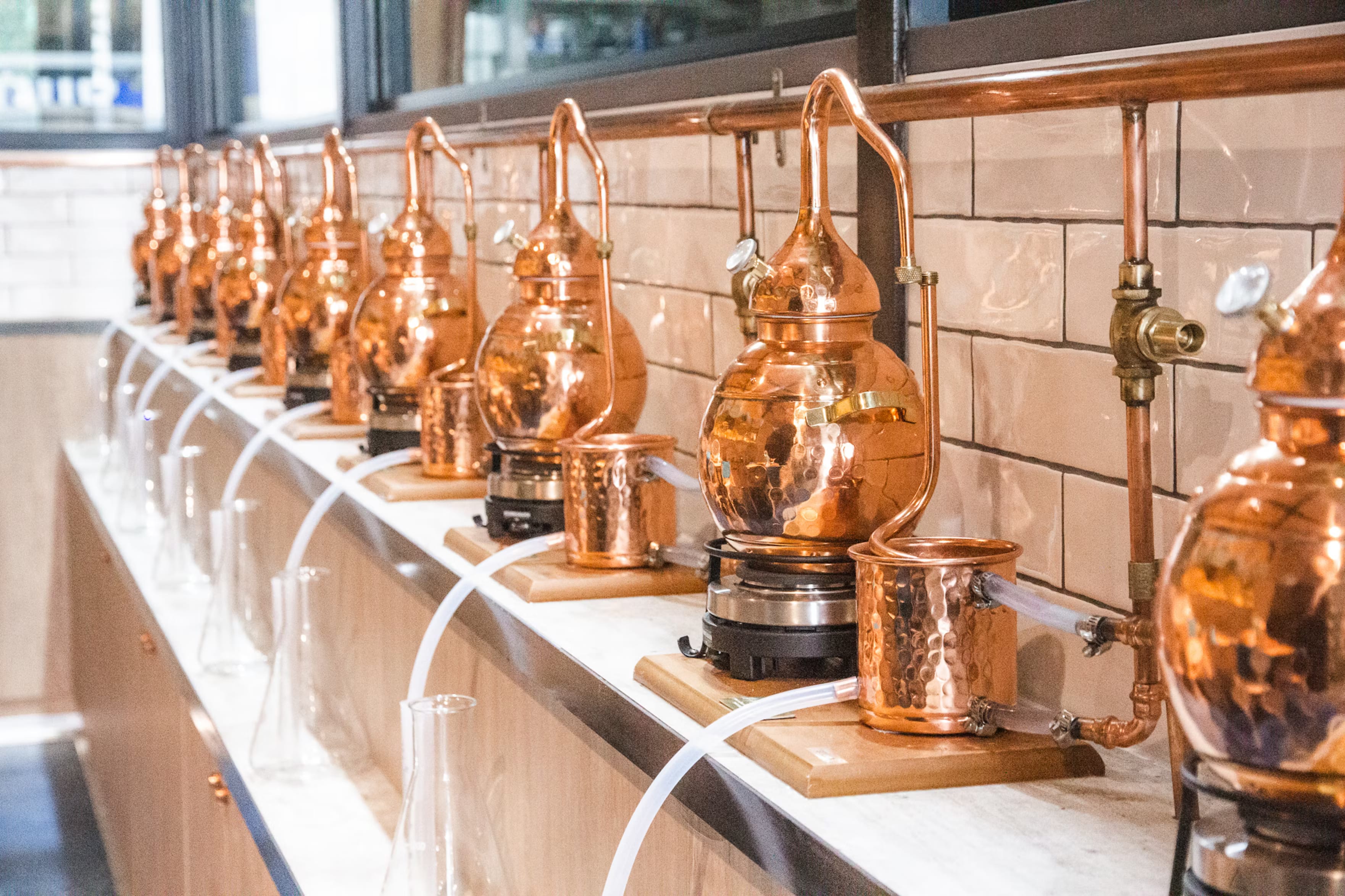 Gin School, Manly Spirits Co. Distillery image 2