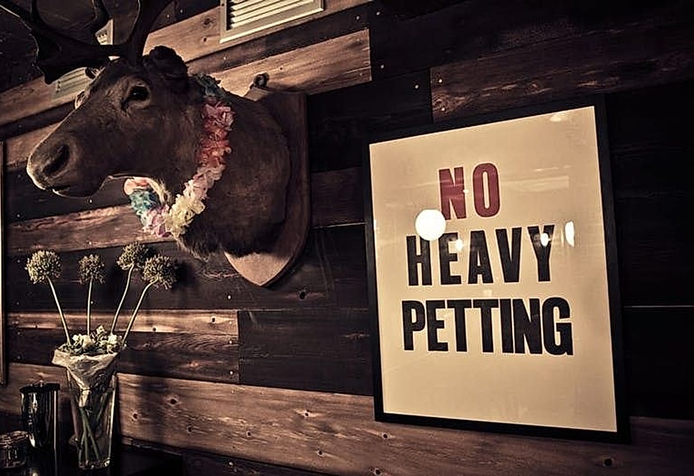 Mayor of Scaredy Cat Town spitalfields bar 1