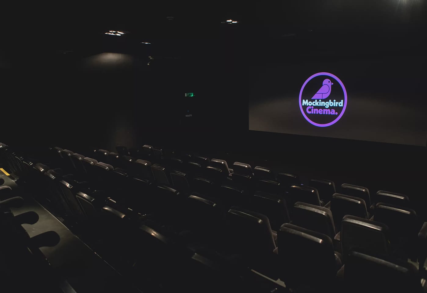 Mockingbird Cinema Birmingham Screening 1
