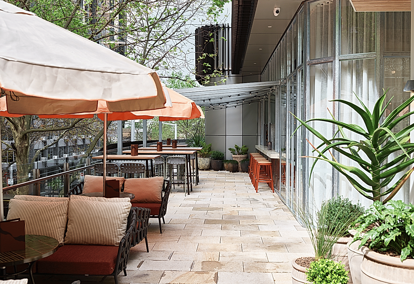 Mount Terrace, Rafi Sydney image 3