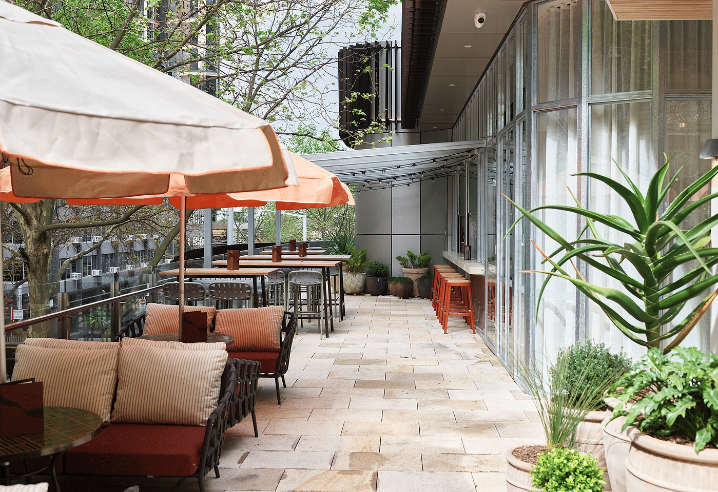 Mount Terrace, Rafi Sydney image 3