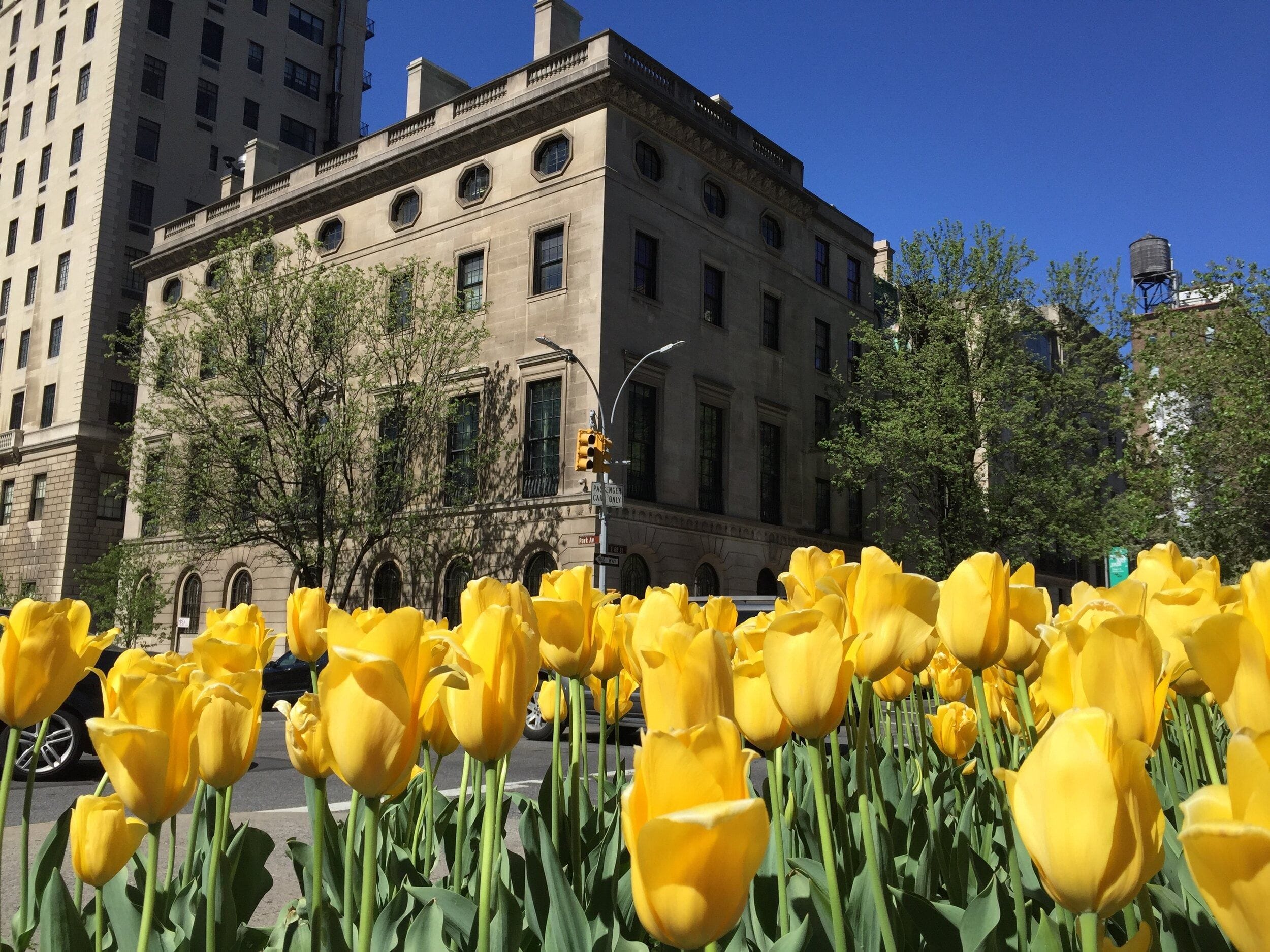 Pratt House Upper Manhattan Corporate Venue