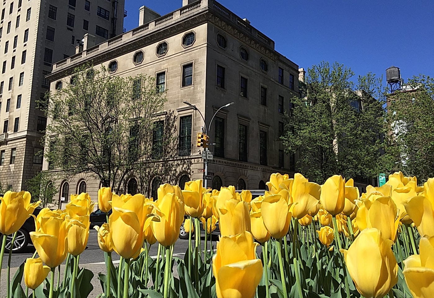 Pratt House Upper Manhattan Corporate Venue