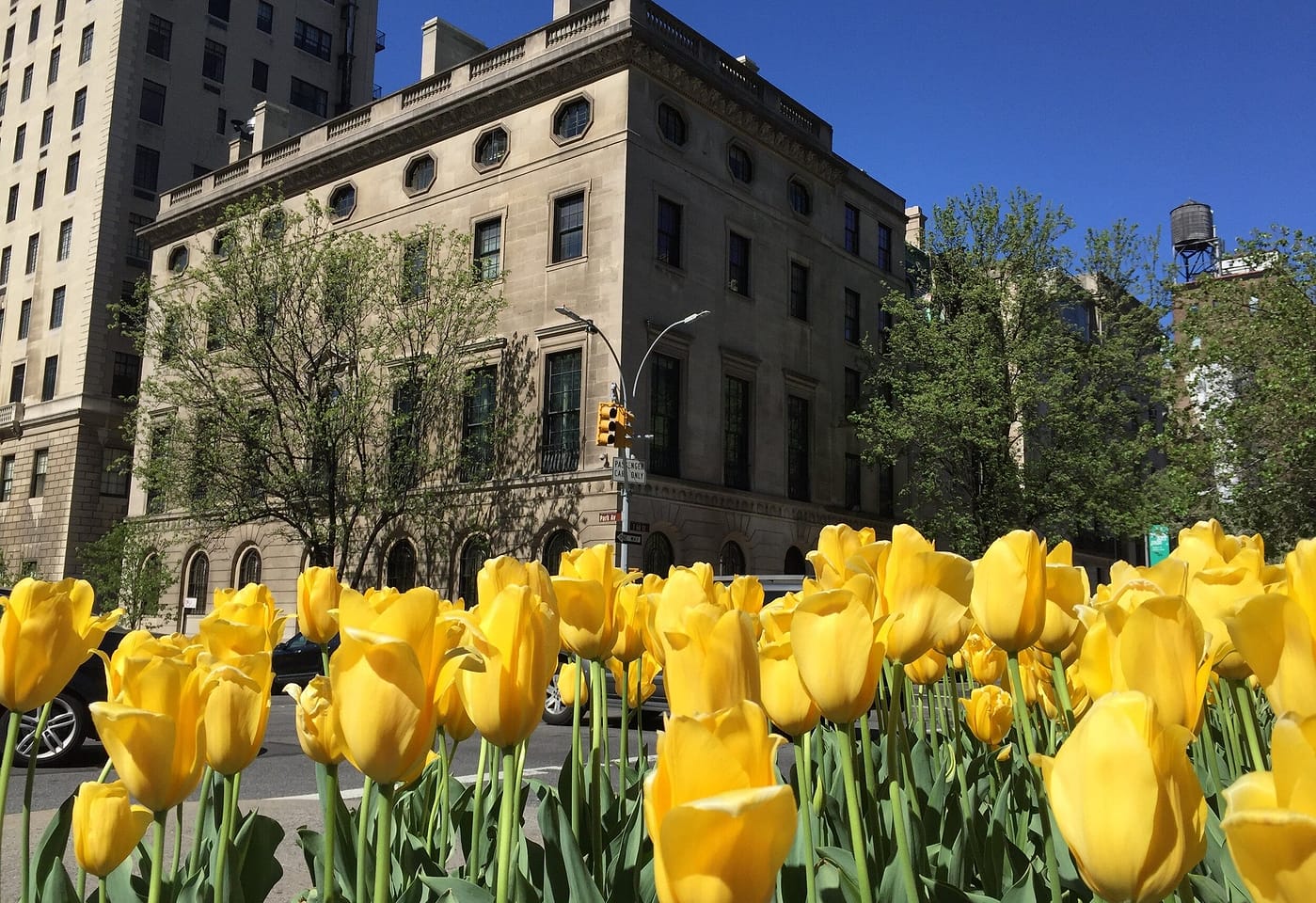 Pratt House Upper Manhattan Corporate Venue