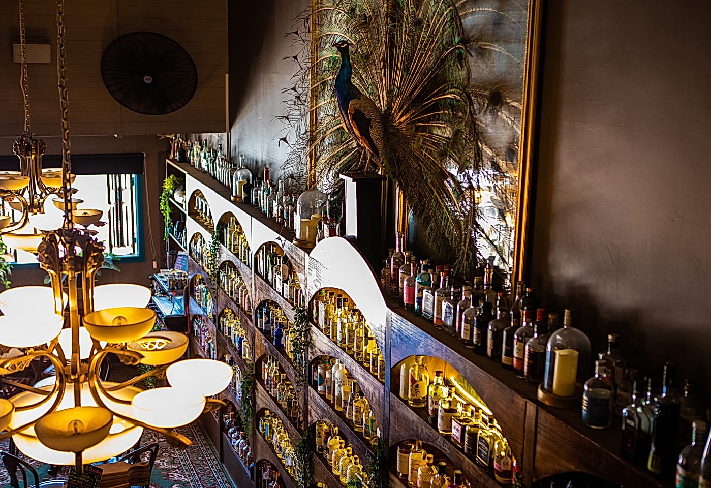 Proud Henry | Wine Bar and Ginoteca Exclusive Hire | Venue Hire Gold Coast | 2