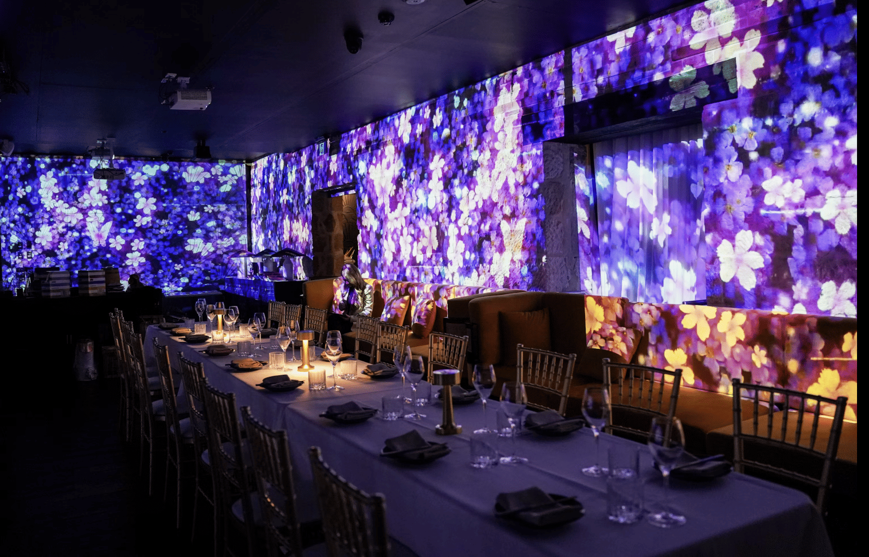 Immersive Dining Experience, Luna Lu image 2