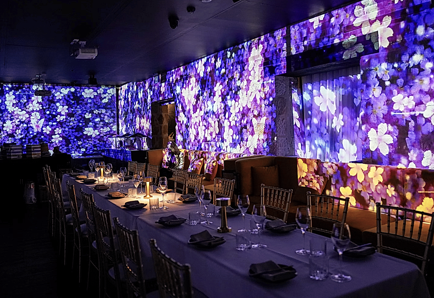 Immersive Dining Experience, Luna Lu image 2