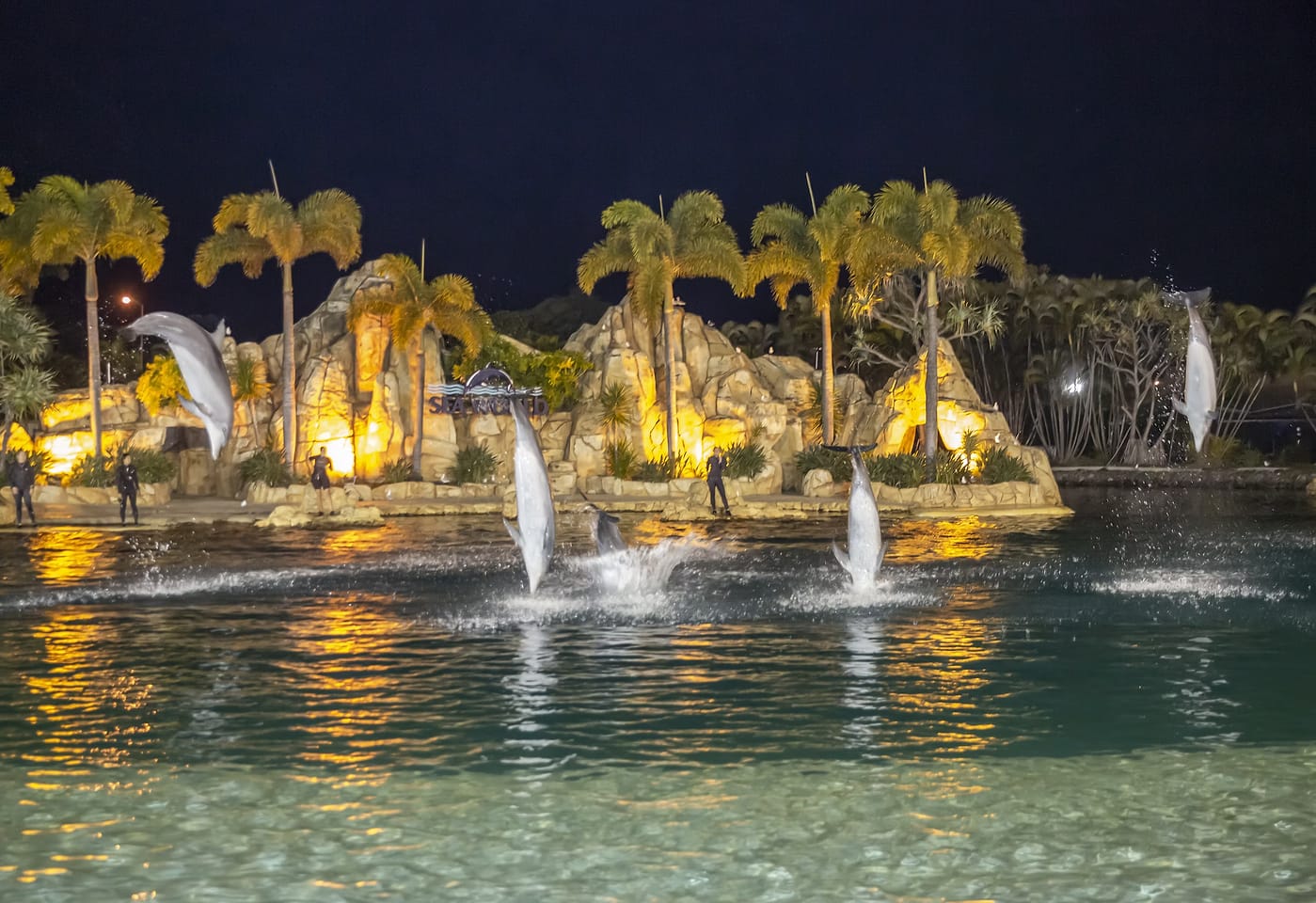 Sea World Dolphin Beach | Dolphin Beach Exclusive Hire | Venue Hire Gold Coast | 3