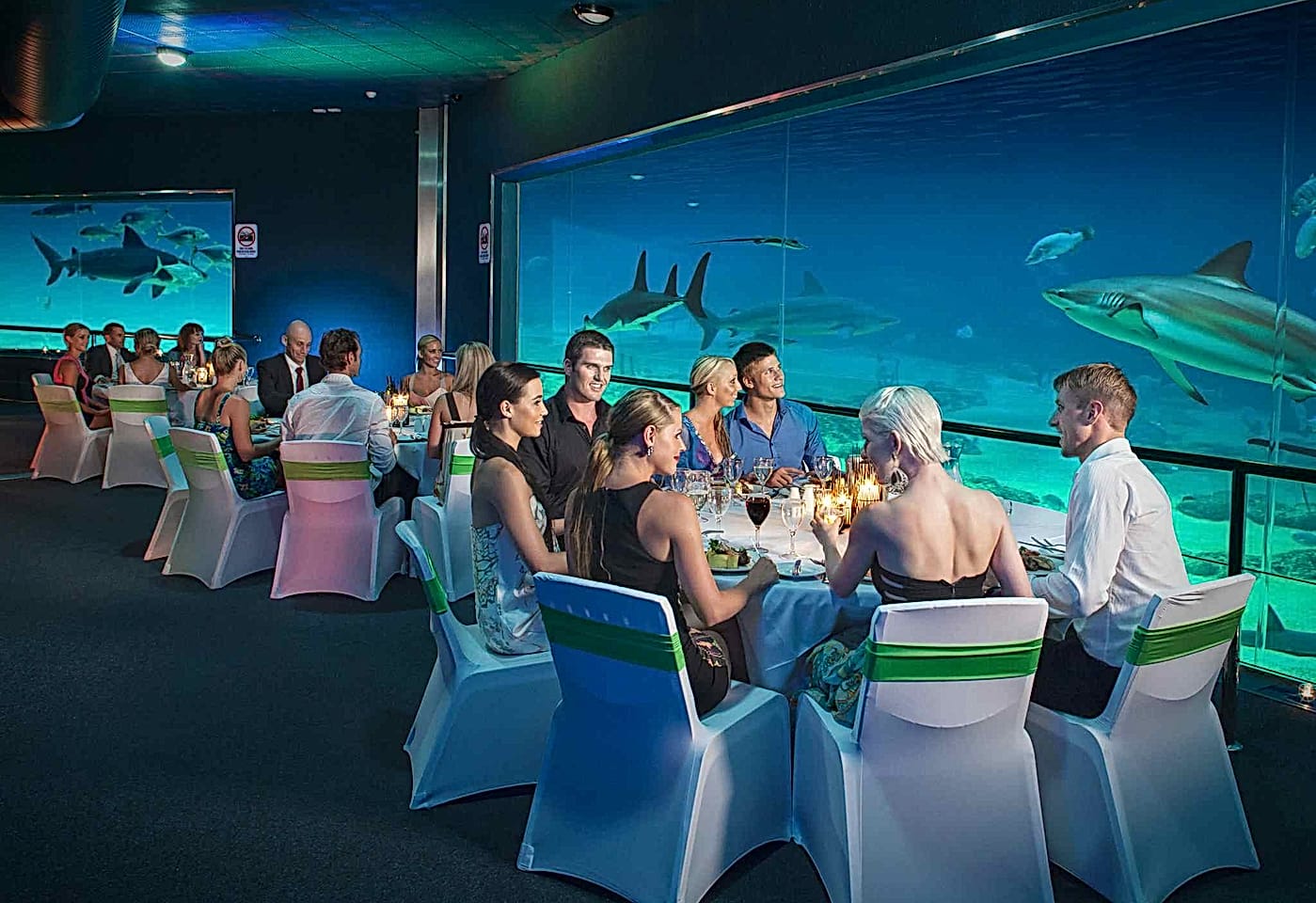 Sea World | Shark Bay | Venue Hire Gold Coast | 1