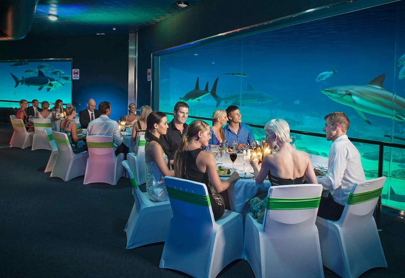 Sea World | Shark Bay | Venue Hire Gold Coast | 1
