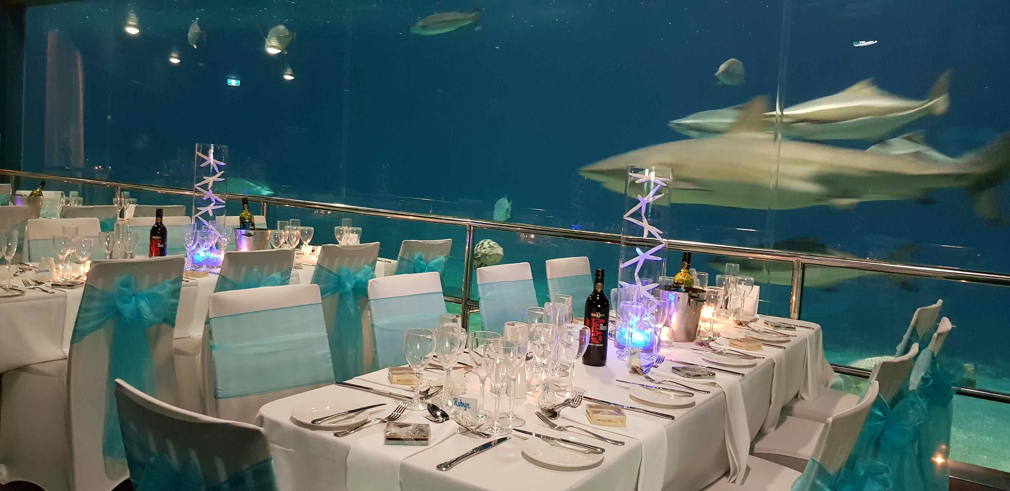 Sea World | Shark Bay | Venue Hire Gold Coast | 2