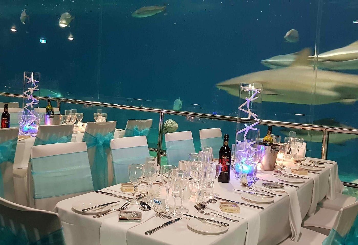 Sea World | Shark Bay | Venue Hire Gold Coast | 2