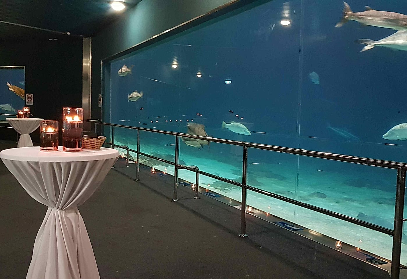 Sea World | Shark Bay | Venue Hire Gold Coast | 3